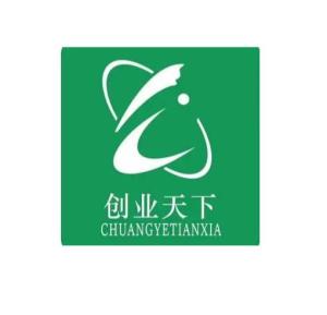 西安創(chuàng)業(yè)天下網(wǎng)絡(luò)科技