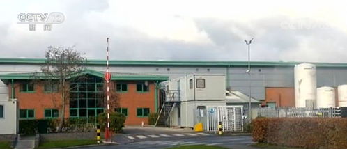 英國多家食品加工廠相繼暴發疫情，家禽產業遭遇嚴峻挑戰