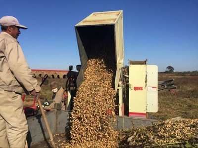 新型農業經營者的規模化之路與有機肥補貼政策分析