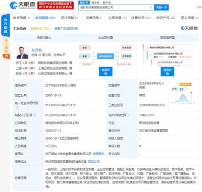 螞蟻集團上市在即，金融信息技術(shù)外包助推全球最大規(guī)模IPO